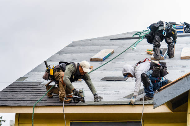 Professional Storm Damage Roof Repair technician working in Cuero, TX